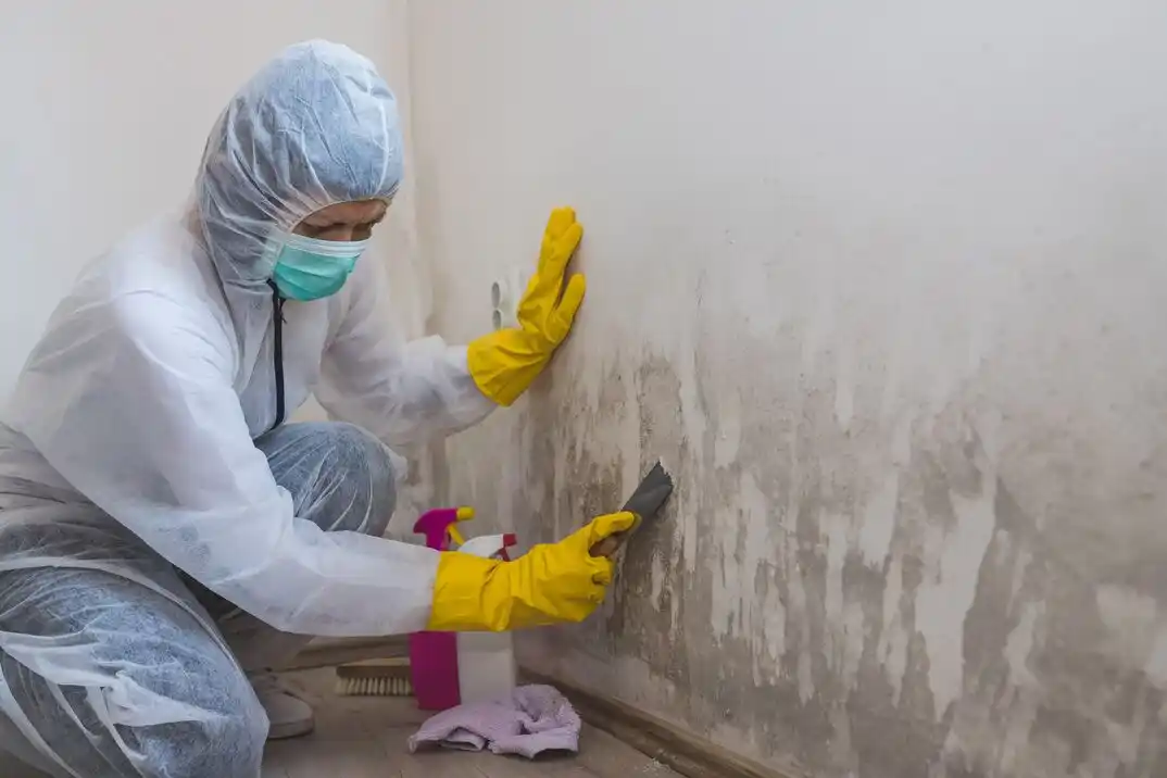water damage restoration service Hanna Ranch